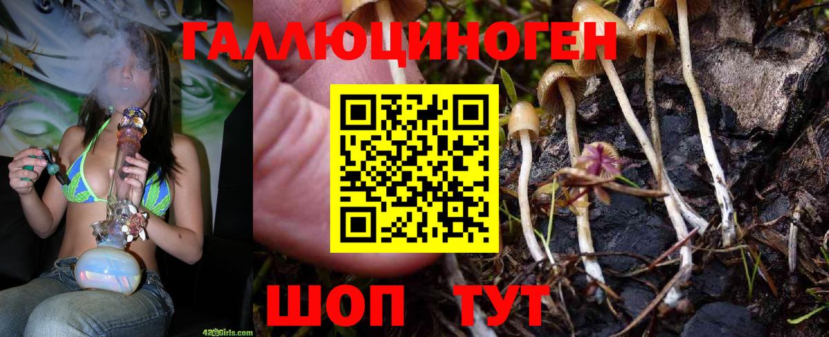 Псилоцибиновые грибы ЛСД  Вход с VPN  Алейск 